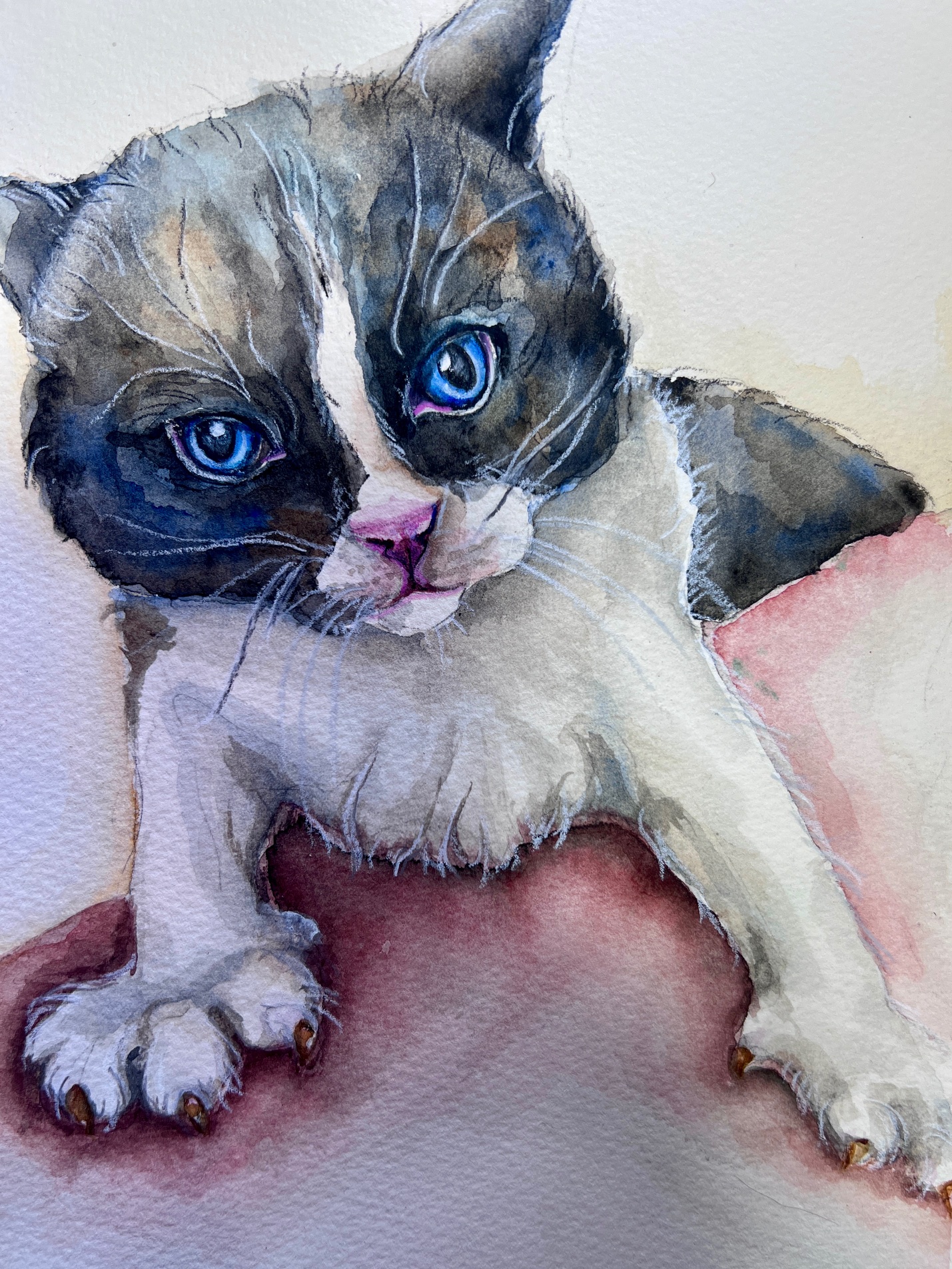 Darlington watercolor kitten